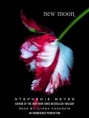 /album/fotecky1/new-moon-jpg/